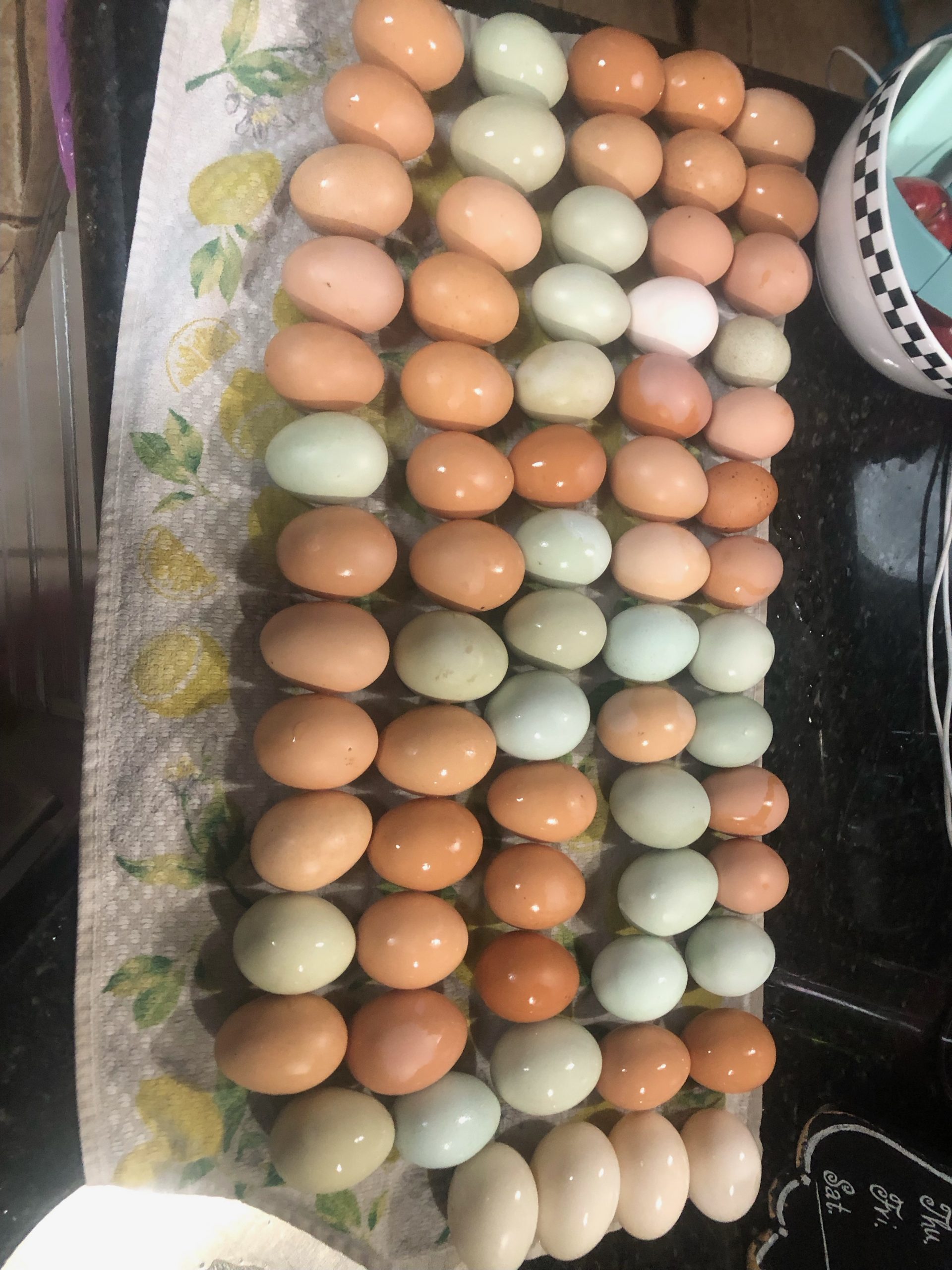 Farm fresh chicken eggs in a carton